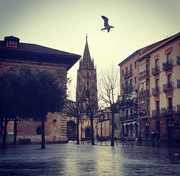 Excursiones y viajes Oviedo